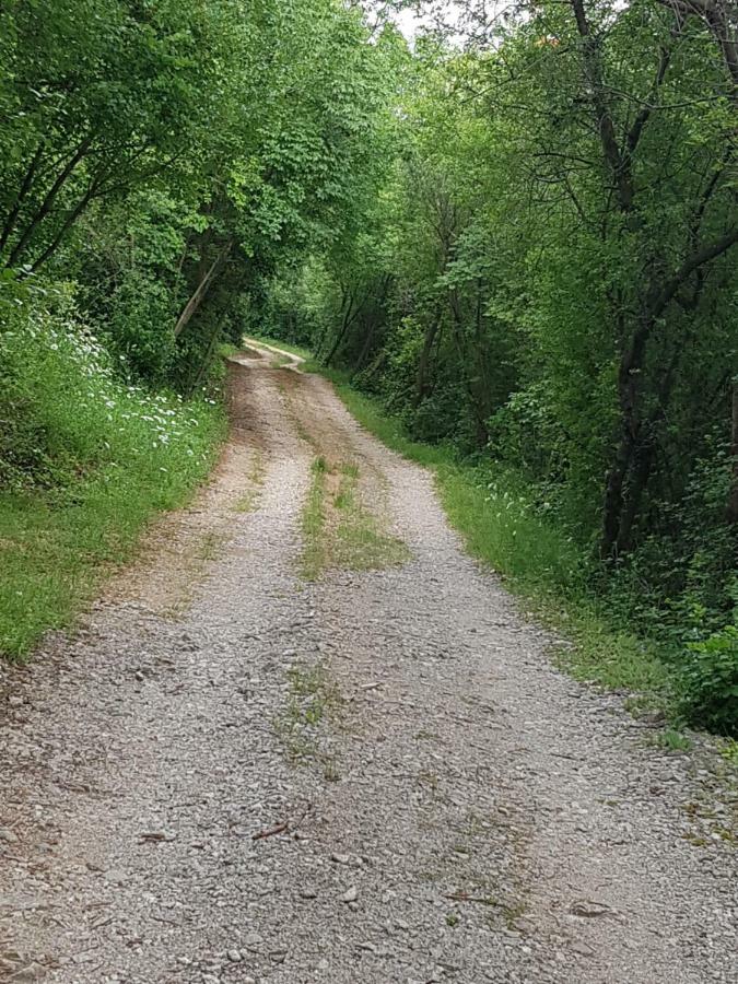 Appartamento Urinj Kostrena Esterno foto